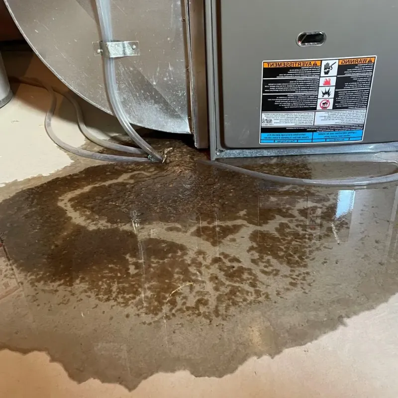 Pipe Burst and Leak Restoration in Avery County, NC