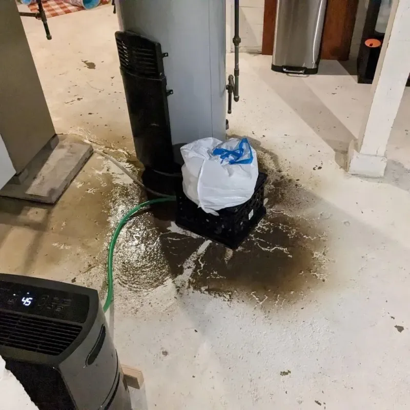 Sewage Backup Cleanup Service in Avery County, NC